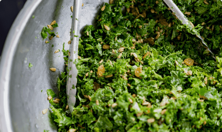 Honey Bee Meals