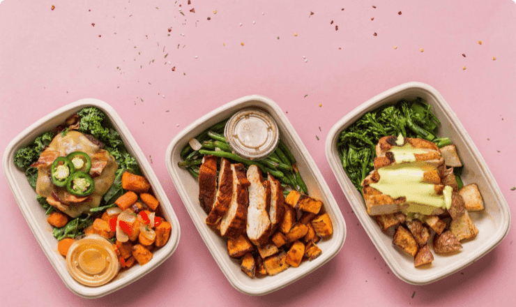 Vibrant Meals